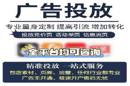 网络推广秘籍：竞价排名成功案例集锦